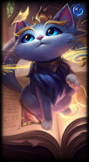 尽管安保人 尽管安保人