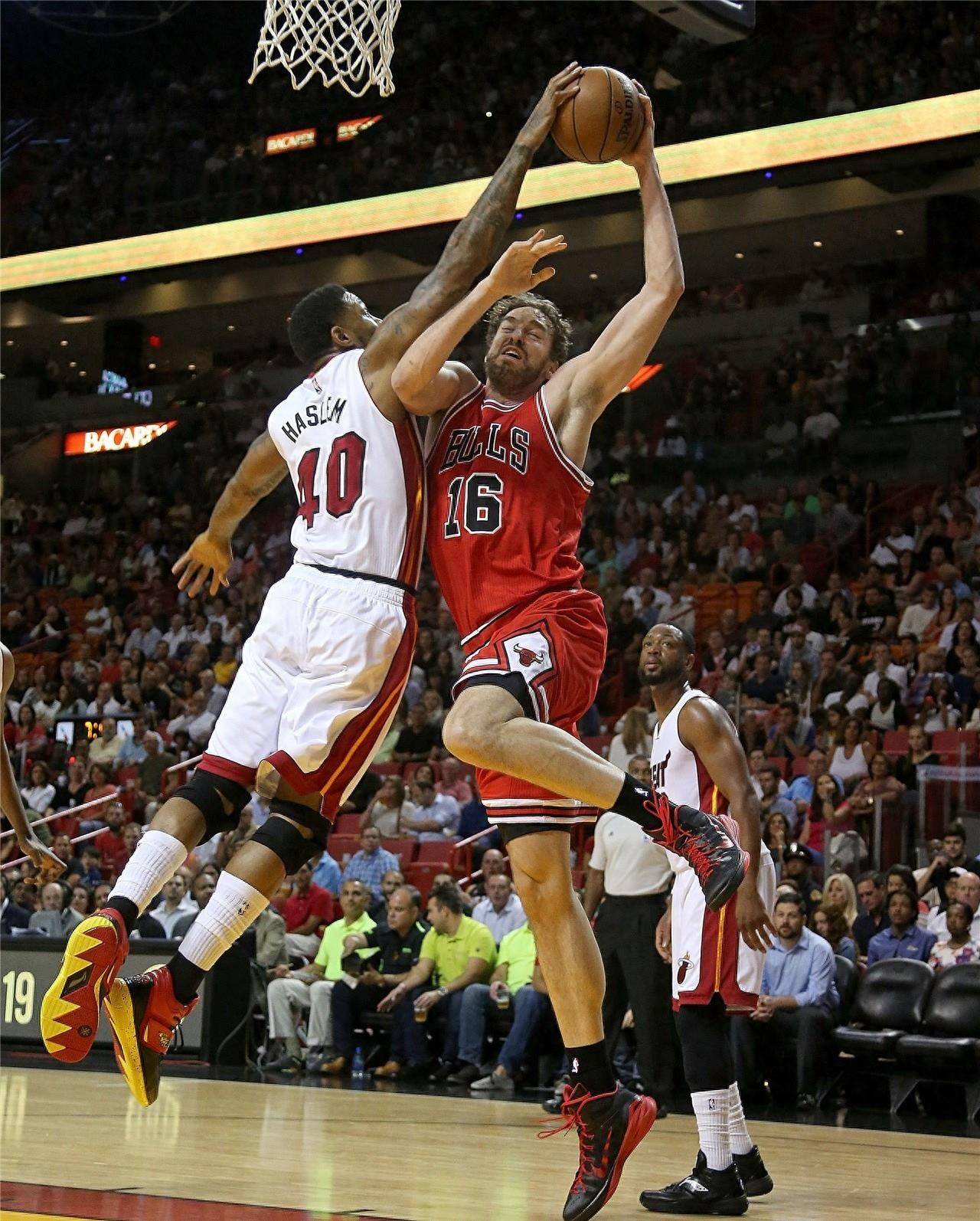 他们依靠 他们依靠